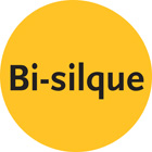 BI-SILQUE VISUAL COMMUNICATION PRODUCTS INC