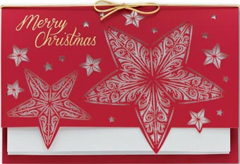 Stars Come Out Laser Cut Christmas Cards