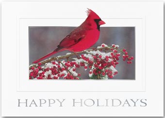 Red On Red Holiday Cards