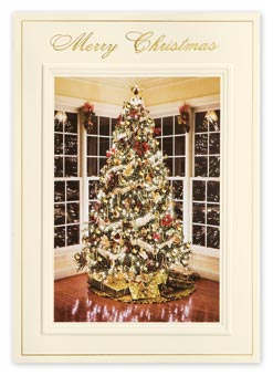Bright Reflections Christmas Cards