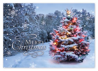 Beacon of Joy  Christmas Cards