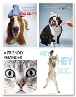 Veterinarian Reminder Card, Dogs & Cats Laser Postcard