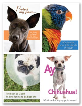 Veterinarian Reminder Card, Dogs & Birds Laser Postcard