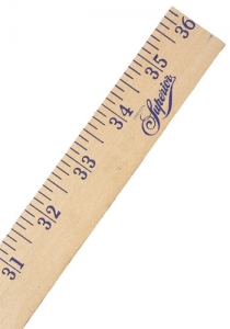 (6 EA) YARDSTICK 