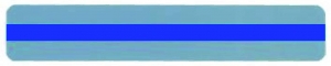 Sentence Reading Guide Strip Blue 