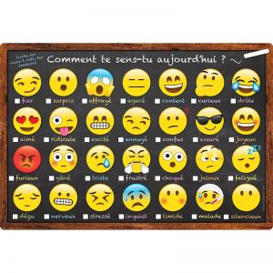 Smart Poly French Immersion Chart, 13" x 19", Emotions Icon, Comment te sens-tu aujourd'hui ? (How Are You Feeling Today?)