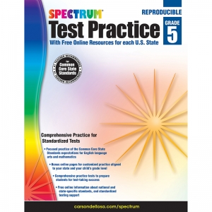 SPECTRUM TEST PRACTICE WRKBK GR 5 