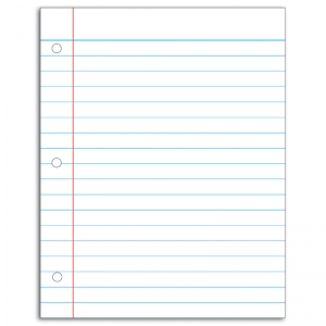 Large Write-on/Wipe-off Notebook Paper Chart