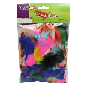 (12 PK) FEATHERS BRIGHT HUES 