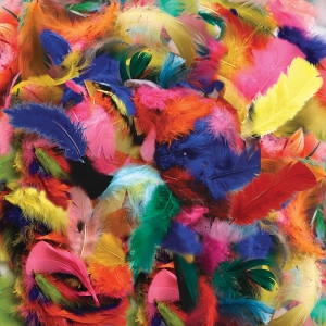 (12 PK) FEATHERS HOT COLORS