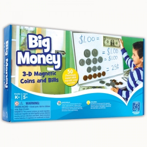 BIG MONEY MAGNETIC COINS AND BILLS 