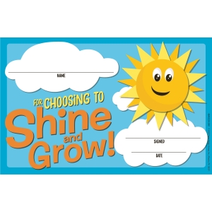 Choosing To Shine & Grow Award 