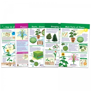 ALL ABOUT PLANTS SET OF 5 