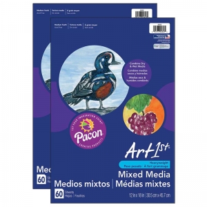 (2 PK) ART1ST MULTI MEDIA ART 12X18 PAPER