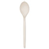 Plant Starch Spoon - 7