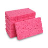 Sponges