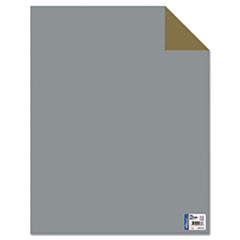 Two Cool Poster Board, 22 x 28, Gold/Silver, 25 per Pack