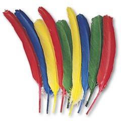 Quill Feathers, Assorted Colors, 24 Feathers/Pack