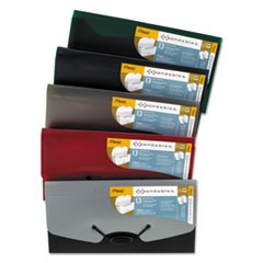 Expandables 13-Pocket Expanding File, Check Size, Assorted