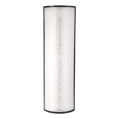 Therapure Replacement Filter for Therapure 640, 5.25 x 2.75